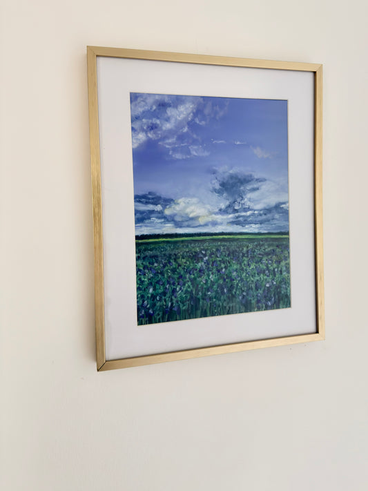 Framing option
