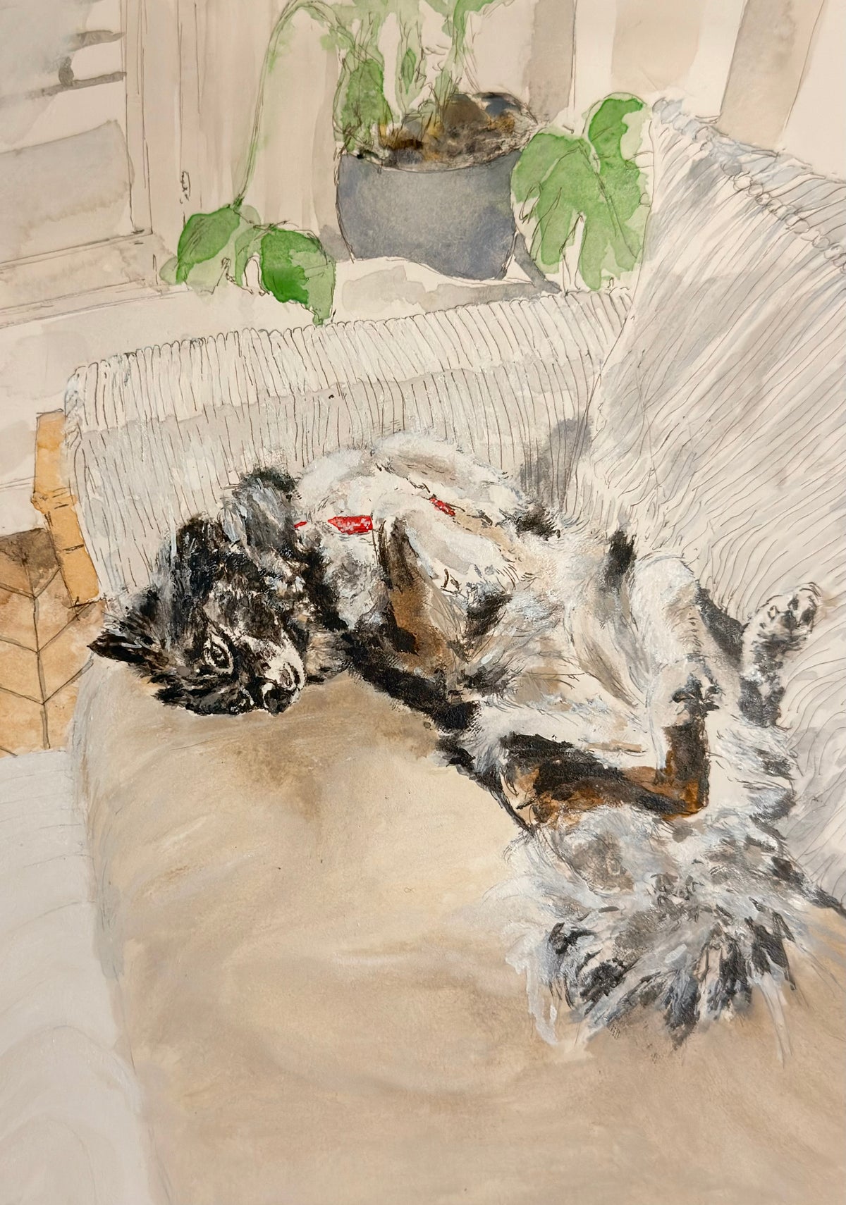 Laika, Aquarelle 09/2026
