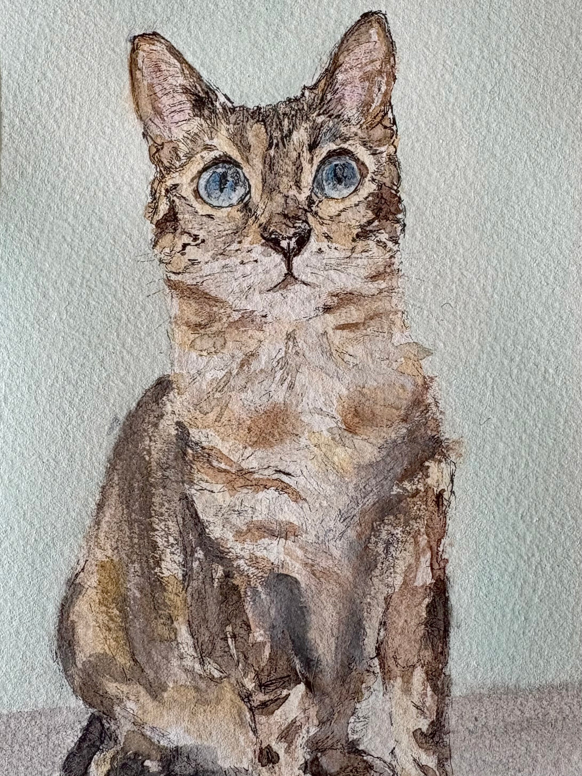 Nala, Aquarelle 06/2025