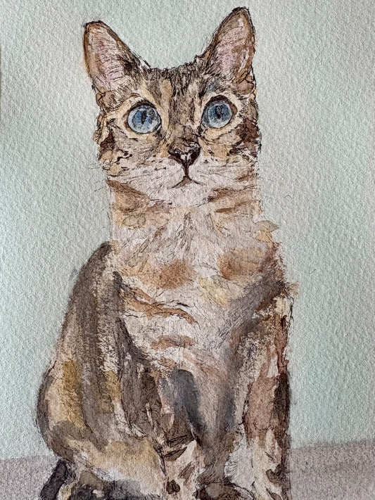 Nala, Watercolor 06/2025