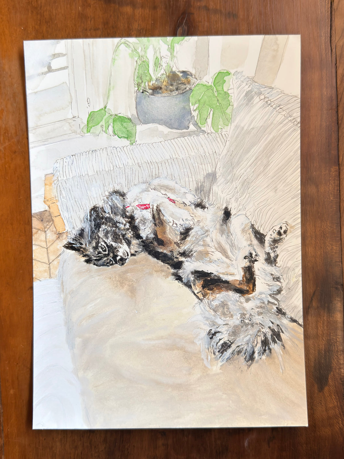 Laika, Aquarelle 09/2026